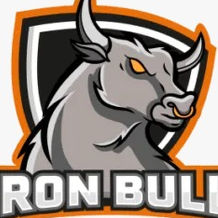Iron Bull Roofing