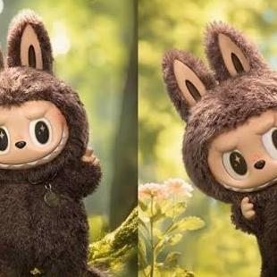 Labubu Labubu